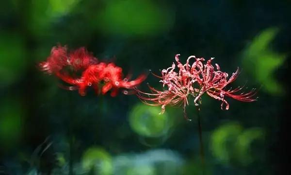 学会放手,幸福需要自己成全 学会放手,幸福需要自己成全