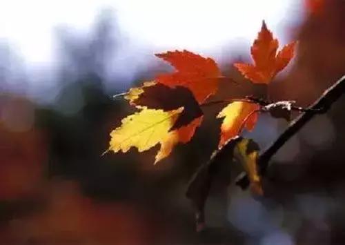 人品比能力更重要