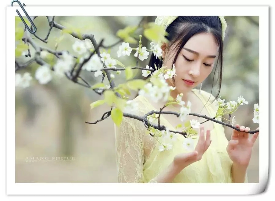 你惊艳了我的时光，却没有温柔我的岁月