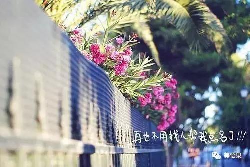 唯美青春语录：那些年，回忆的时光