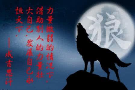 《狼图腾》人要活得有点狼性