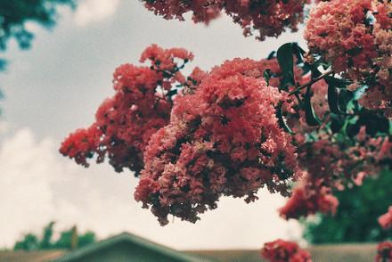 很现实的空间说说经典语录