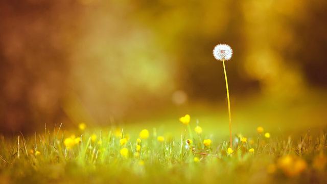 想让别人喜欢你,先要喜欢上对方 想让别人喜欢你,先要喜欢上对方