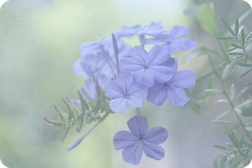 一句话最经典的人生哲理语录