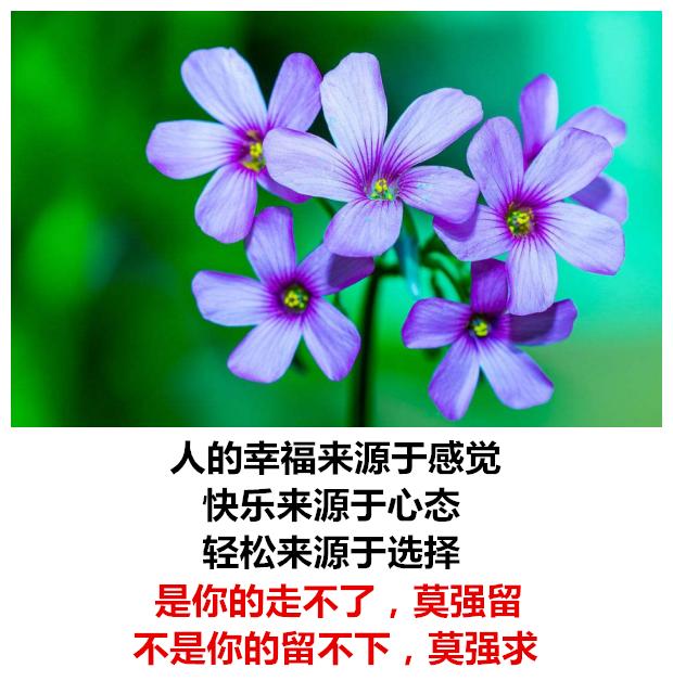 生活有苦有甜，爱情有闹有和，心情有悲有喜，日子有阴有晴