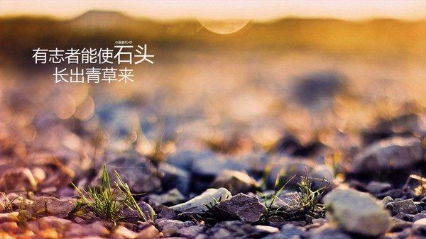 励志成功语录，句句走心（经典）