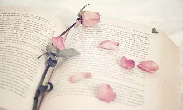 还未细算,人生已过半 还未细算,人生已过半