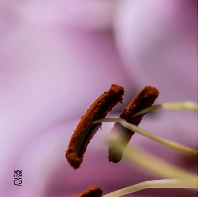 生命中的感谢，真美