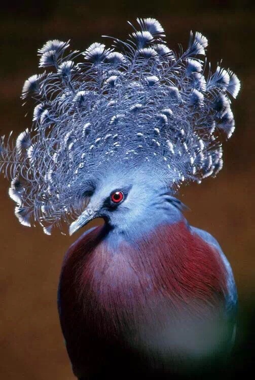 坦然面对人生的悲与欢