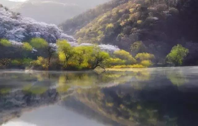 人生如局，局如人生