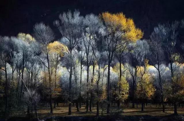 静守尘念,从容而安 静守尘念,从容而安