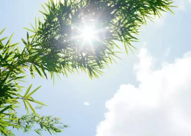 每一天，带着阳光和自信行走在路上