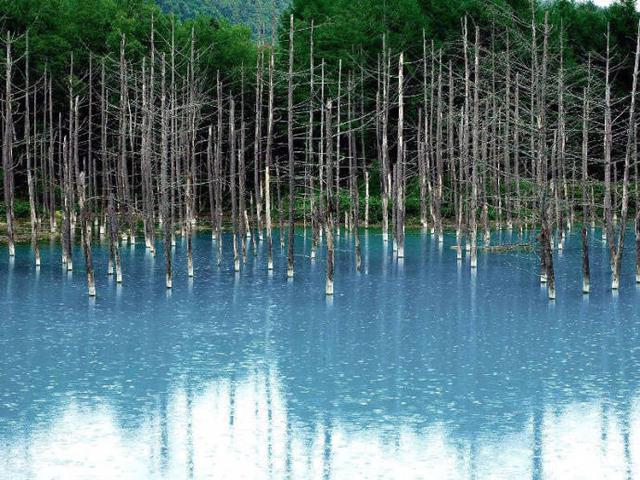 毕淑敏醒世经典语录