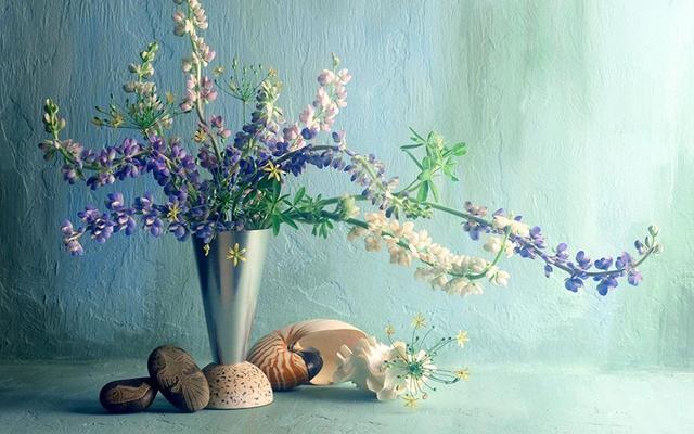 面容淡定、眼神从容的人 面容淡定、眼神从容的人