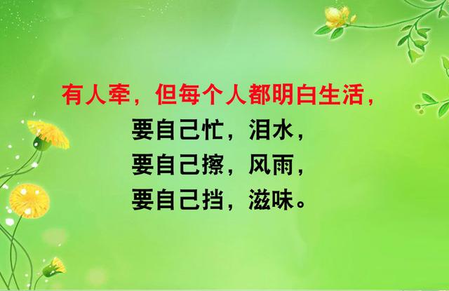 泪水,要自己擦,风雨,要自己挡,滋味,要自己尝(扛住,挺住) 泪水,要自己擦,风雨,要自己挡,滋味,要自己尝(扛住,挺住)