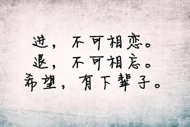 我一厢情愿，我愿赌服输