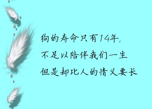 韩寒《后会无期》里的经典语录