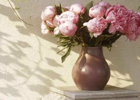 文艺范经典人生感悟图片说说短语 文艺范经典人生感悟图片说说短语