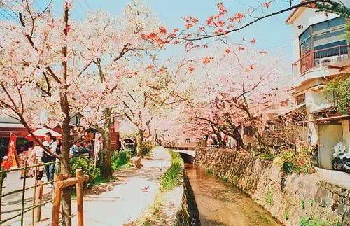 一生，懂得太慢，明白太晚