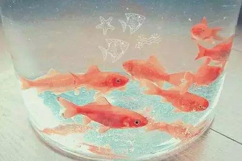 如果 当初，怎么又要止步