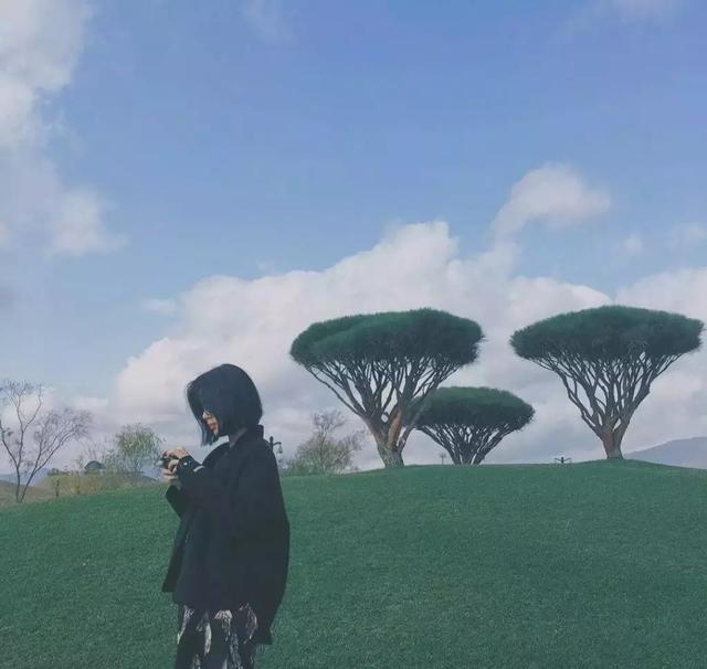 我愿你好 即使后来你与我全然无关