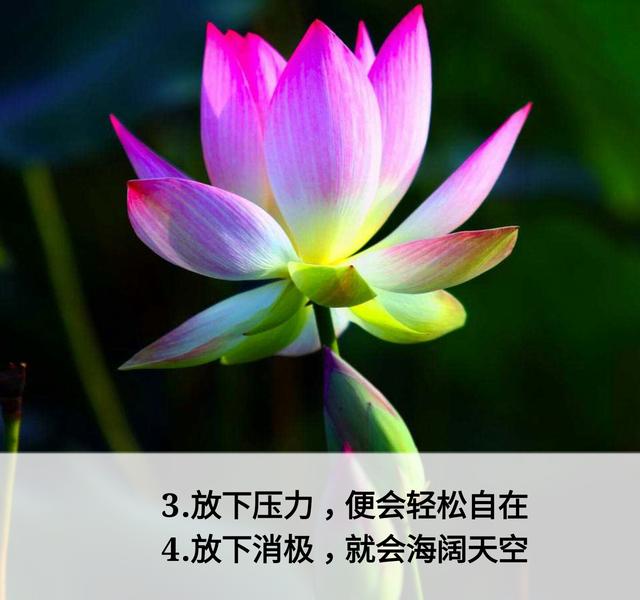 放下面子做人，但不可弯腰