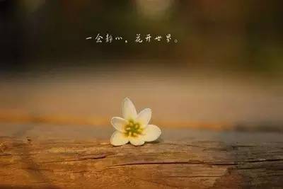 苦才是生活