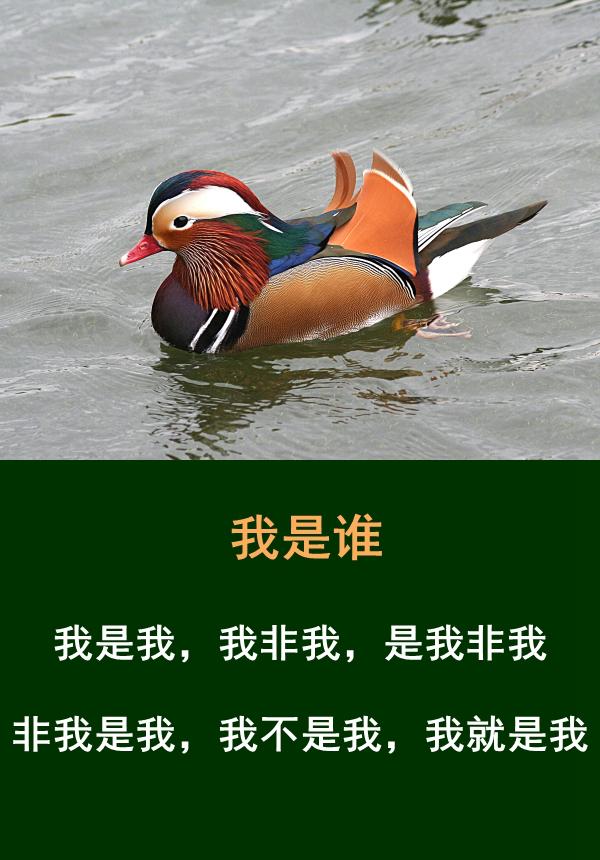做人，难得糊涂，贵在糊涂，乐在糊涂，成在糊涂，学会糊涂