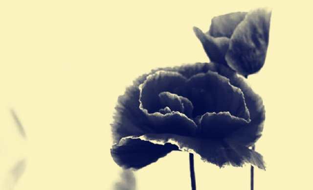 人生必须记住的5句话，句句经典