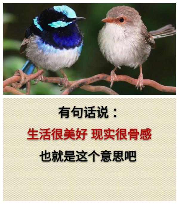 你累吗？（累就看看）