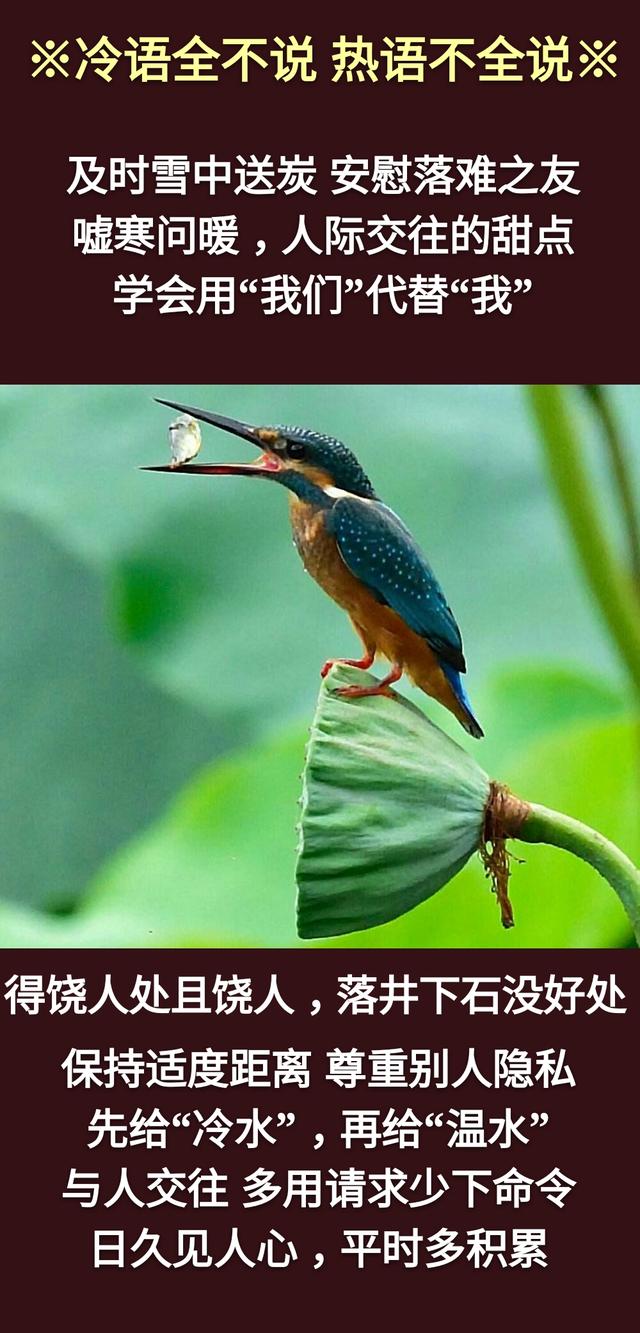 真话不全说，假话全不说