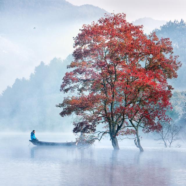 毛主席人间正道是沧桑