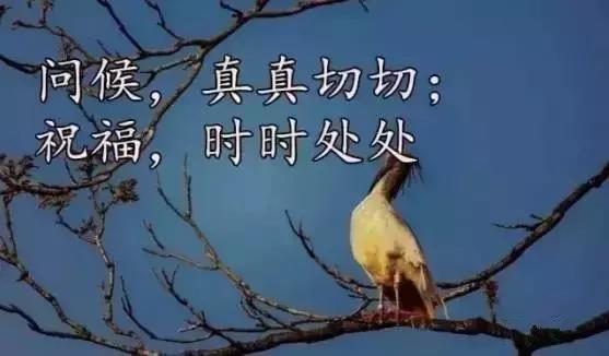 送你26个字