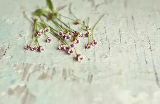 记住十句话，是人生的升华