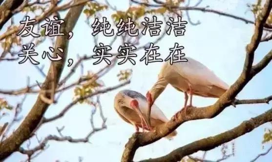 送你26个字