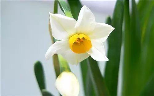 真正的放弃并不会张扬而是慢慢不联系 真正的放弃并不会张扬而是慢慢不联系