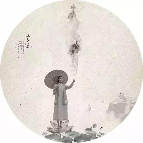 倾听一朵莲的心事