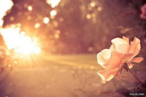 朋友圈里最火的人生感悟语录