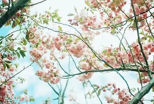 心情语录：为了等你，我错过了等我的人