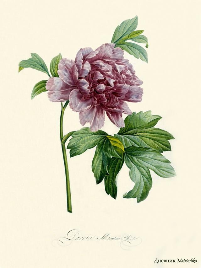 精辟到噎死人的经典语录,透彻至极 精辟到噎死人的经典语录,透彻至极