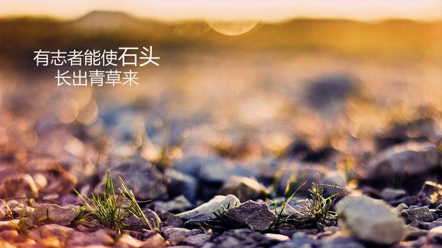 励志成功语录，句句经典（句句走心）