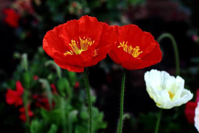 不想跌倒的最好办法