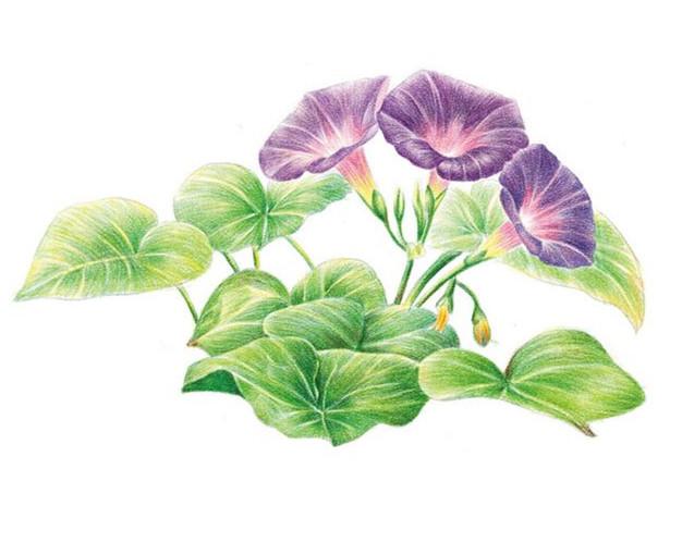 人生苦短，想开，看开，然后放开