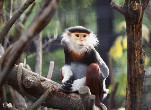 机会是给马上行动，懂得坚持的人准备的