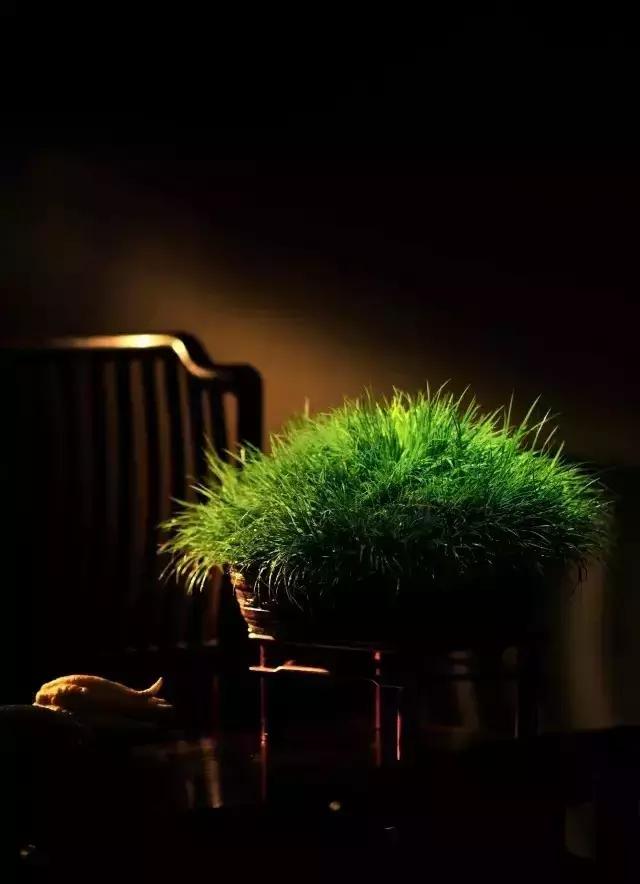 努力去修一颗淡泊之心 努力去修一颗淡泊之心