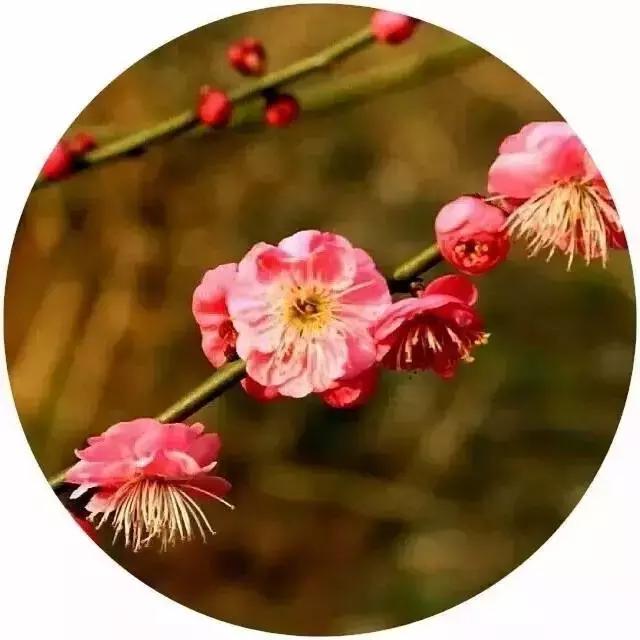 放下昨天,珍惜明天 放下昨天,珍惜明天