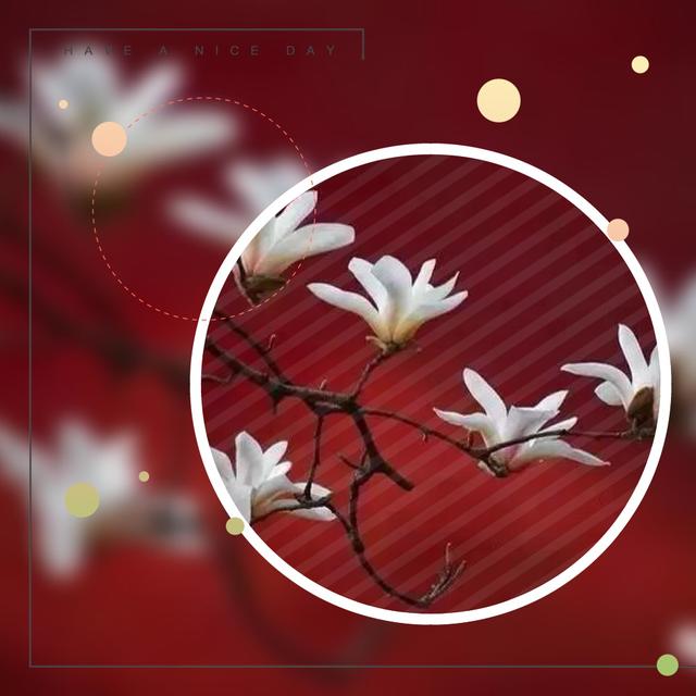 郭敬明：以为不会被忘掉的事，在念念不忘的日子里被遗忘