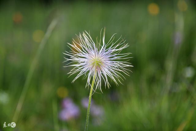 一辈子，除了生死，都是小事