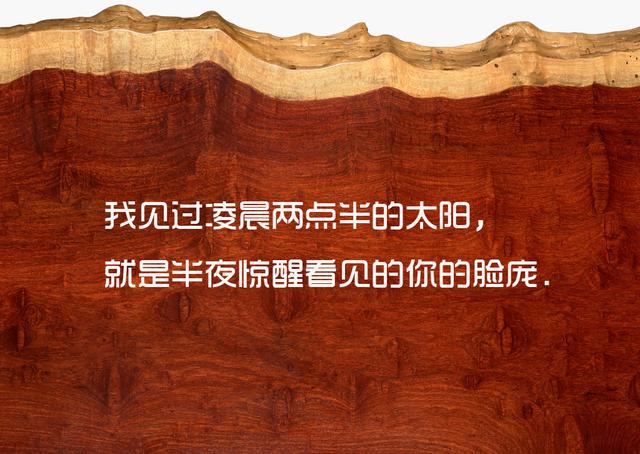 喜欢一个人是藏不住的