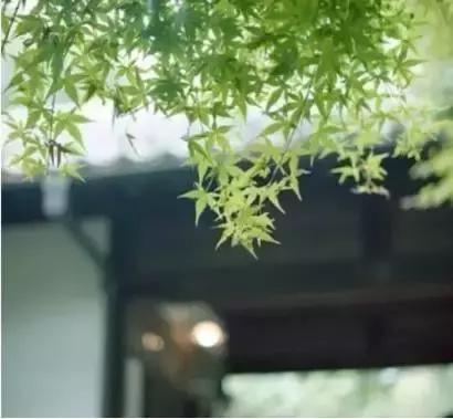 人生在世，谁不吃苦受累？